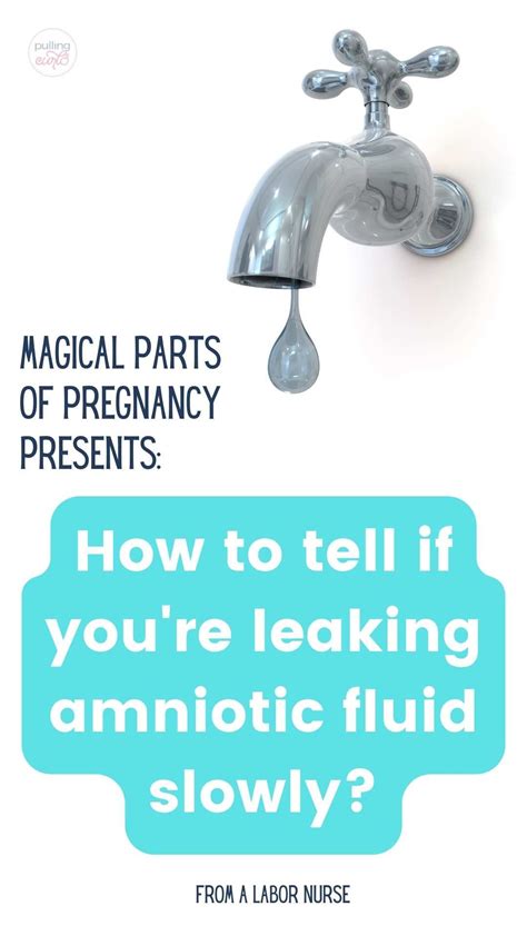 how do you know your leaking amniotic fluid|Amniotic Fluid: What is It and Signs of Leaking